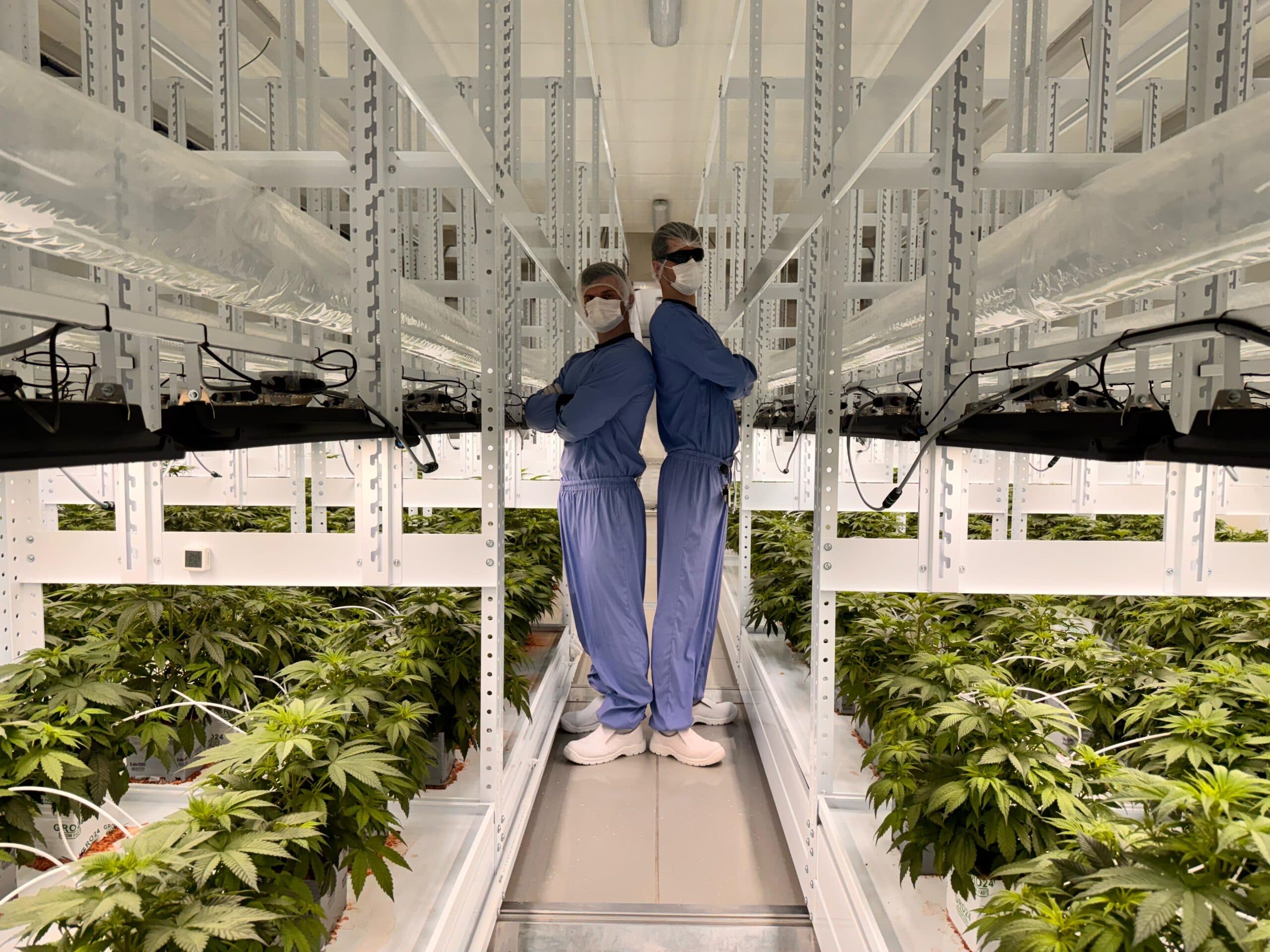 Sterile hygiene conditions in hall - environmental control