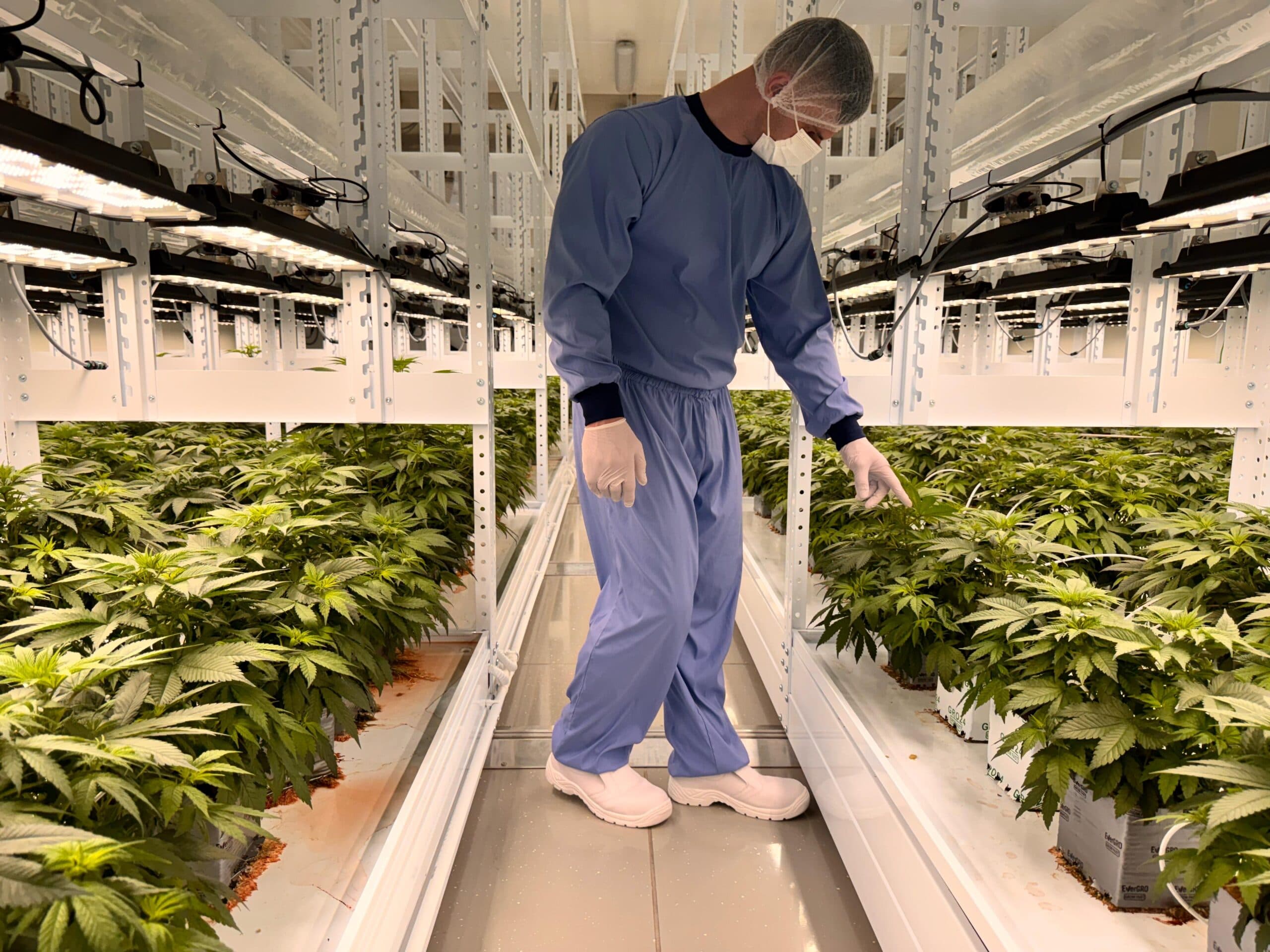 Verifying plant state on the bottom rack